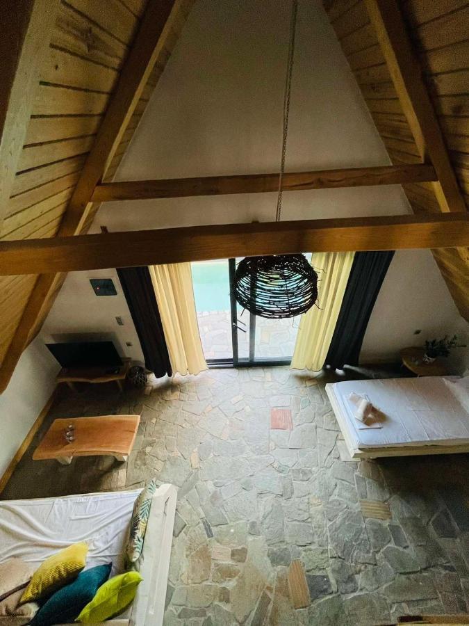 Unique Wooden With Pool Case de vacanță Olympiada